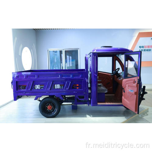Boutique Luhu1.8 Tricycle électrique de cargaison